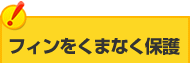 ե򤯤ޤʤݸ