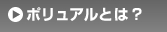 ݥ奢Ȥϡ