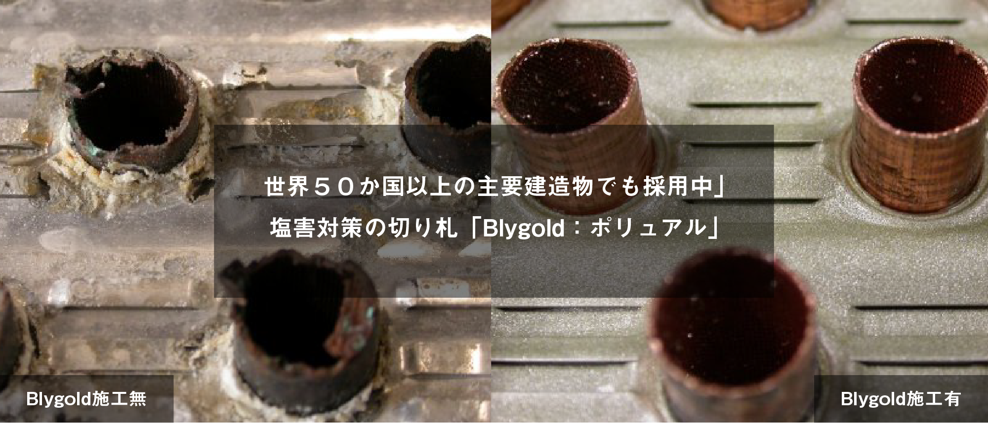 世界５０か国以上の主要建造物でも採用中」　塩害対策の切り札「Blygold：ポリュアル」