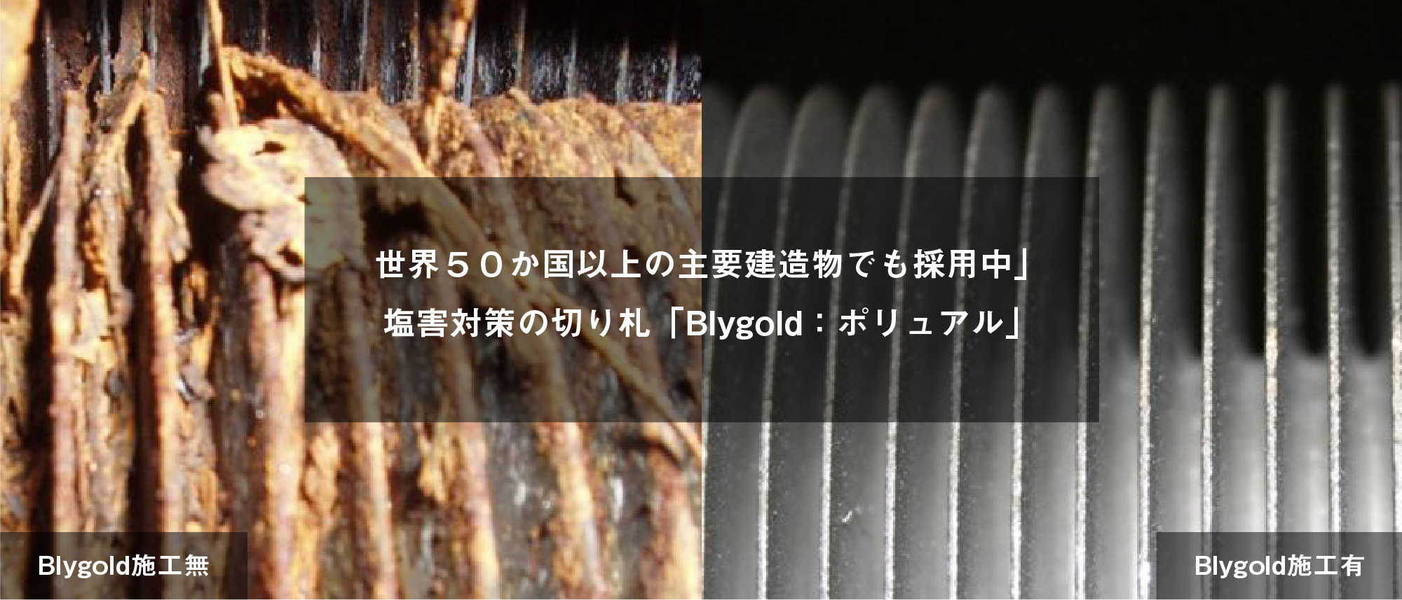 世界５０か国以上の主要建造物でも採用中」　塩害対策の切り札「Blygold：ポリュアル」